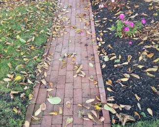 Bricks