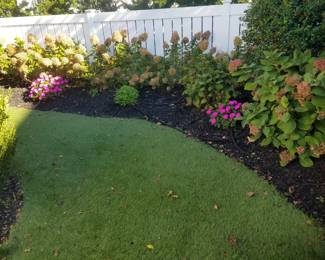 Astroturf; plants