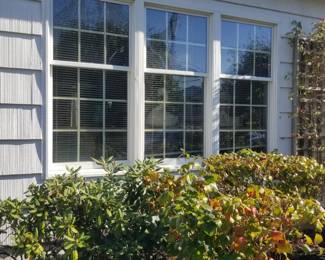 Windows
