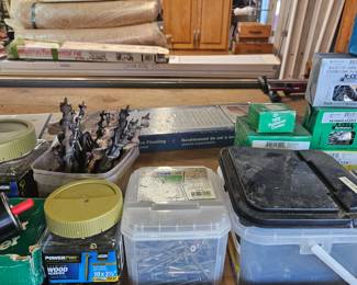 various nails and screws