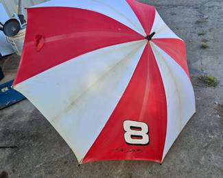 Dale Umbrella