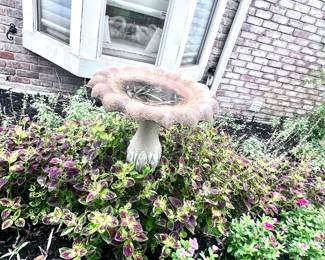 Outdoor Bird Bath