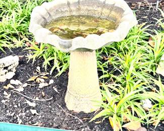 Garden Bird Bath