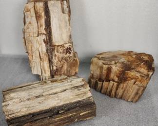 252 Lot 303h 40lbs fossilized petrified wood with quartz