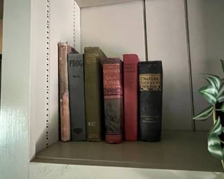 Vintage books