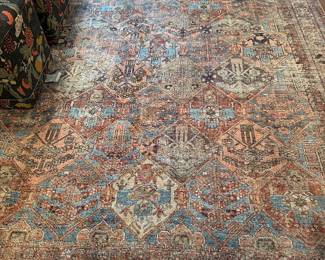 New rug