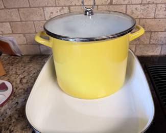 Enamel Pot and Roasting Pan