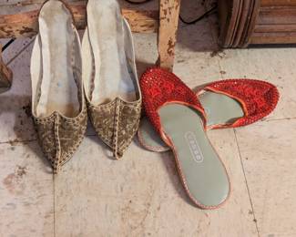 Dorthey's Ruby red Slippers