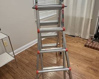 Little Giant Velocity Multi-Position Aluminum Ladder