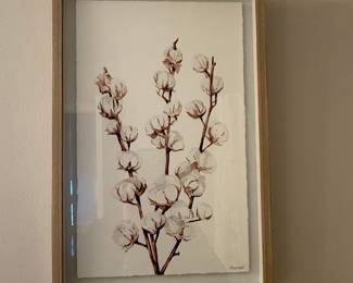 Marmont Cotton Branch Framed Print