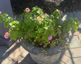 Cast Stone Basket-Weave Garden Planter