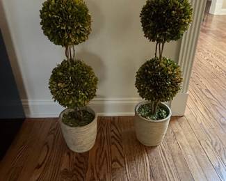 Pair of Preserved Boxwood Double-Ball Topiaries