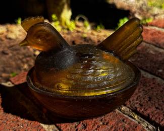 Amber Hen on Nest