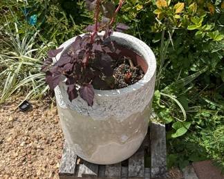 Large Textured Concrete Planter