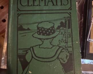 Clematis by Bertha B. and Ernest Cobb (1917)