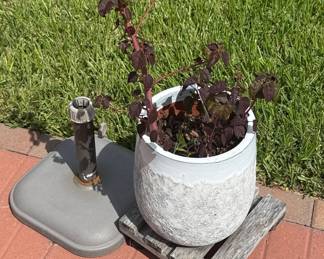 Ceramic Planter with Rolling Caddy and Loropetalum Plum Delight Plant