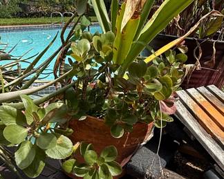 Large Terracotta Garden Planter