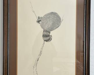 Peter Parnall 'Raccon'