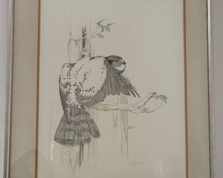 Peter Parnall 'Goshawk'