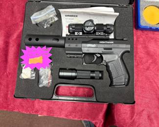 Pellet co2 gun
