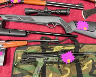 Pellet guns