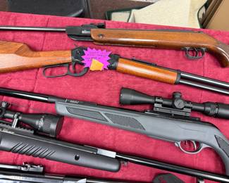 Pellet guns