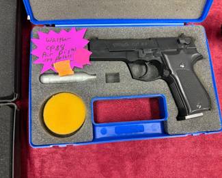 Pellet co2 gun