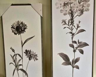 Framed botanicals. "Style Craft" SlenderTextured artwork