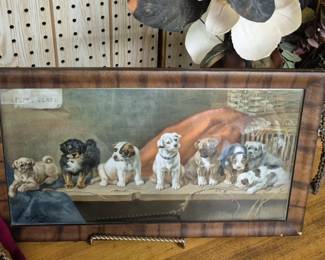 Vintage framed animal prints