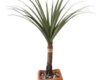 Faux Yucca Tropical Statement