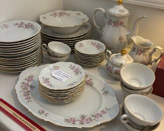 A17 - $60. 50 Pc Set of Mitterteich Bavarian "Springtime" China.
