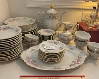 A17 - $60. 50 Pc Set of Mitterteich Bavarian "Springtime" China.