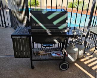 Weber Platinum Gas Grill