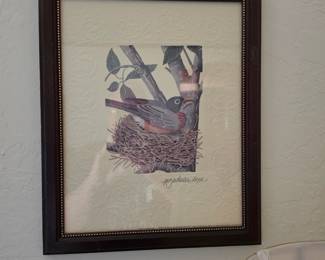 Framed Peggy Wheeler Hope bird print — American robin nesting
