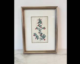 Lot 8907 Antique Botanical Art Print