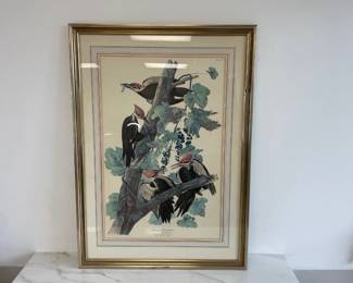 Lot 8983 Pileated Woodpecker Audubon Bird Art Print