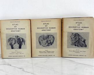 Lot 8884 Atlas of Descriptive Human Anatomy Vols. 13 Sobotta Uhlenhuth Collectible Medical Books