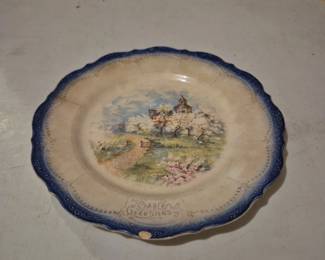Foreign plate