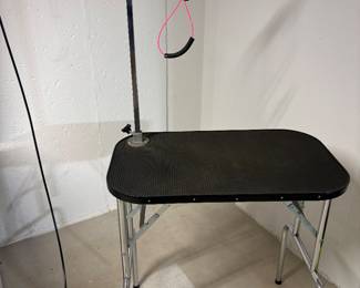 Dog grooming station available for sale