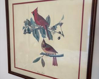 reproduction of John James Audubon's "Cardinal Grosbeak" (Plate 159)