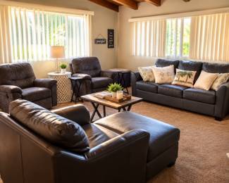 Sunlit Cozy Living Room Retreat
