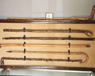 Walking Canes In Display