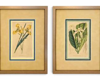 Framed Botanical Floral PrintsPair