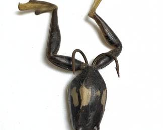 Vintage Taxidermy Frog Fishing Lure