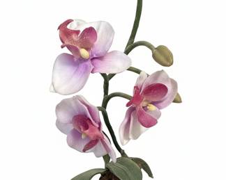 Hand-Sculpted Clay Orchid Arrangement