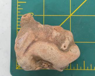 	Fossilized Bone Specimen Possible Mammal Skull
