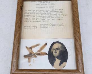 	Mt. Vernon Seed Display, 1776 Tree Provenance, 6x8