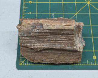 Petrified Wood Specimen, 567g
