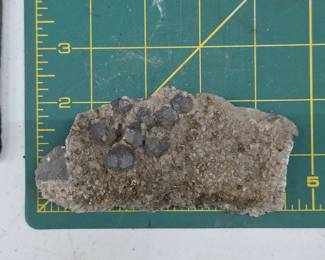 Galena & Pyrite Crystals on Matrix Specimen