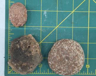 Three Fossilized Rocks with Varied Shapes